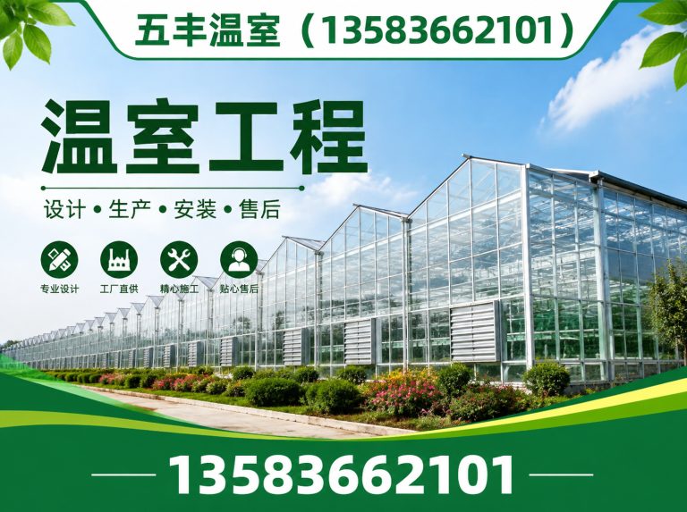 山东温室工程展示图