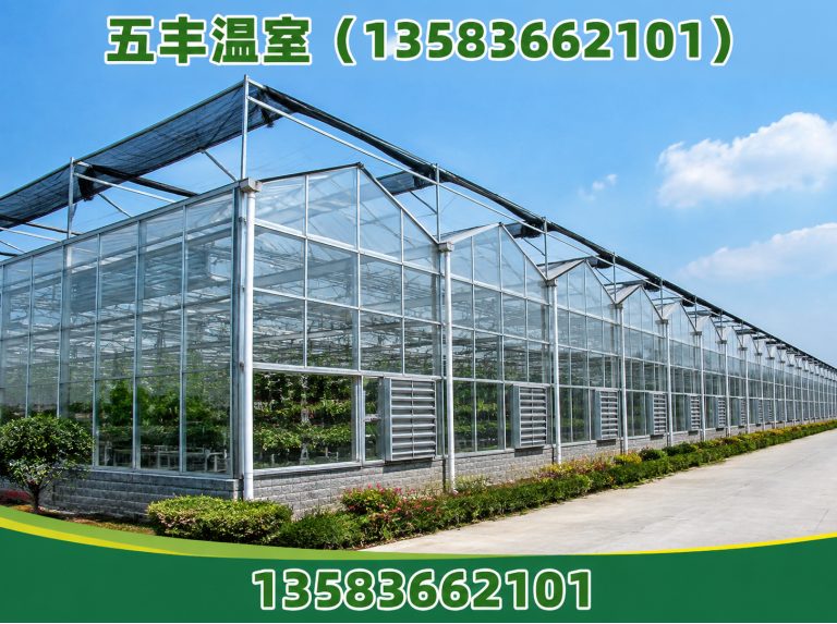 山东大棚建设展示图